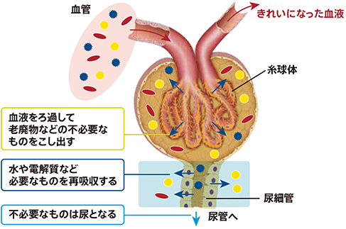 マイナ保険証 解除 なぜ